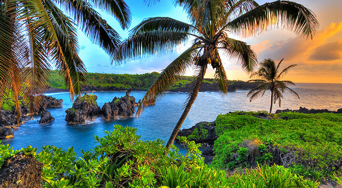 Hawaii Coffee Culture Sunset Palm Tree Water