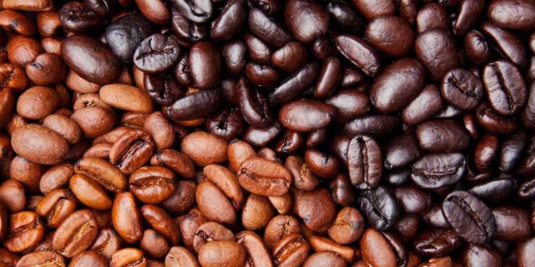 Which Has More Caffeine – Light Roast or Dark Roast?