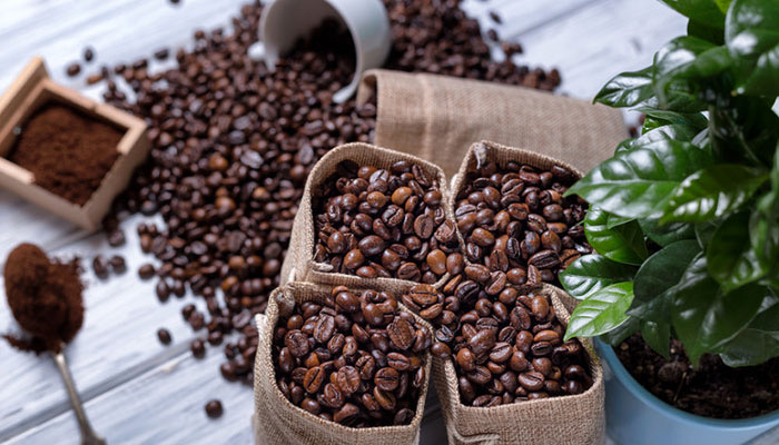 Why Drinking Sustainable Coffee Matters