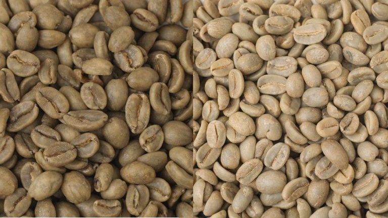 Everything You Need to Know About Decaf Coffee