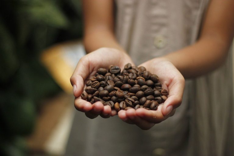 How Does Climate Change Affect the Coffee World?